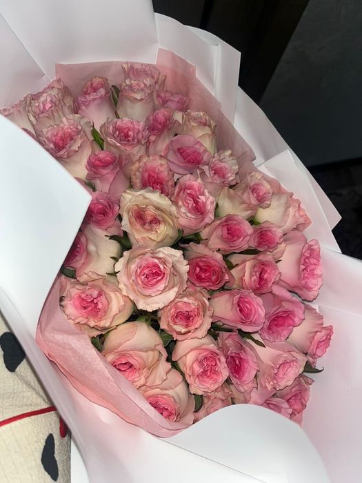 Продам цветы розы