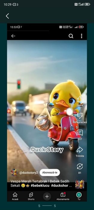 Debarasare Deseuri din Constructii / Renovari Debarasare Mobila Veche