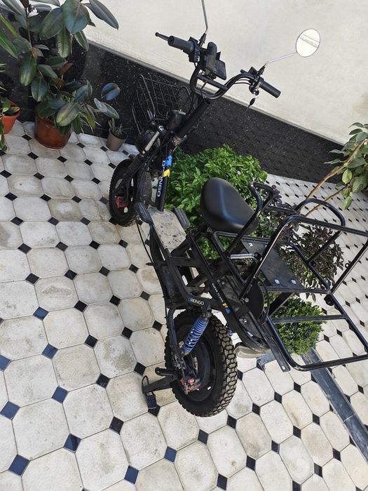 Drongo monster elektro