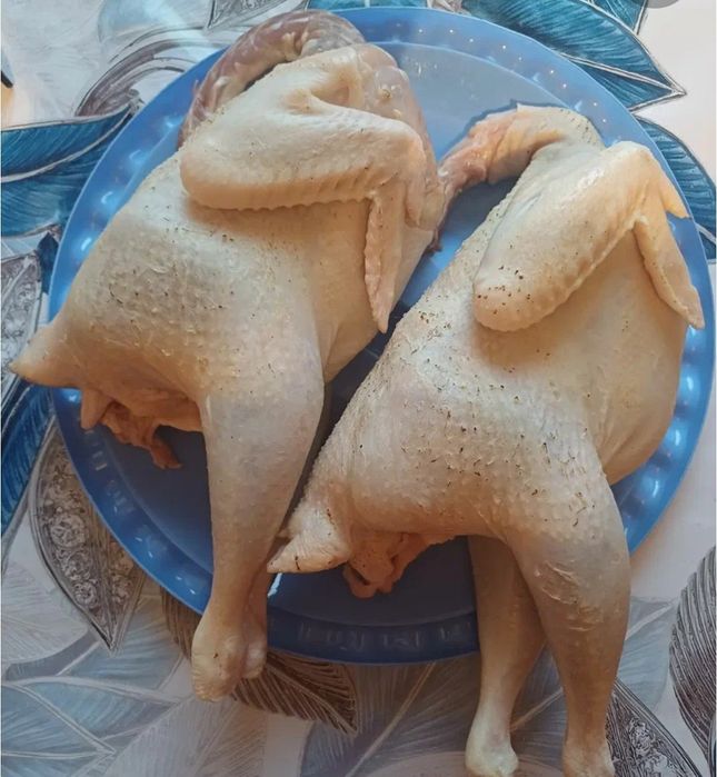Тушки домашних кур