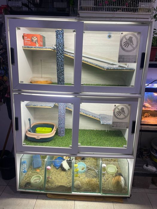 Вольер для котят