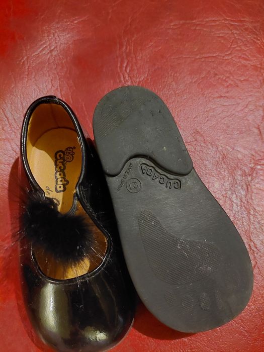 Pantofiori de lac ,nr 21