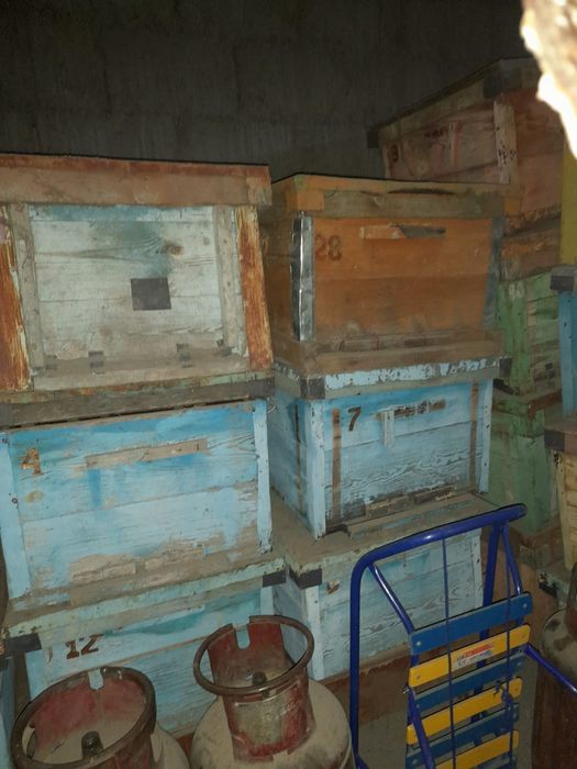 Ящики для пасеки