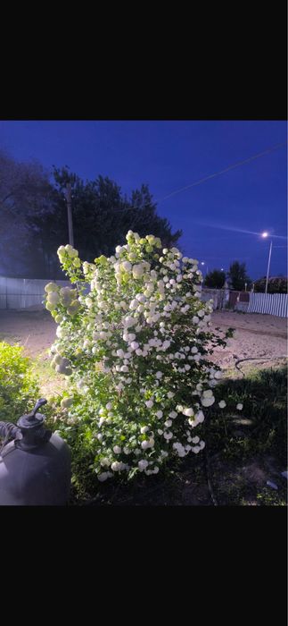 Продается дом в поселке жана арна