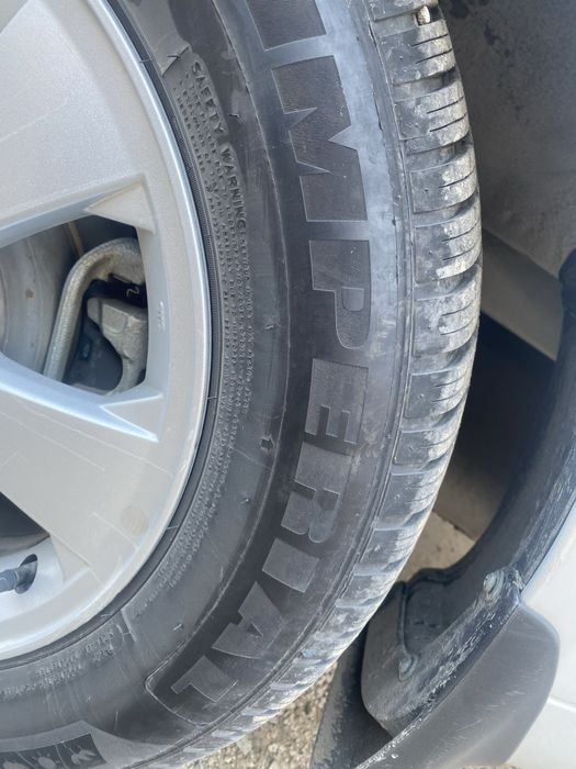 Archa Balon  xolati yangiday