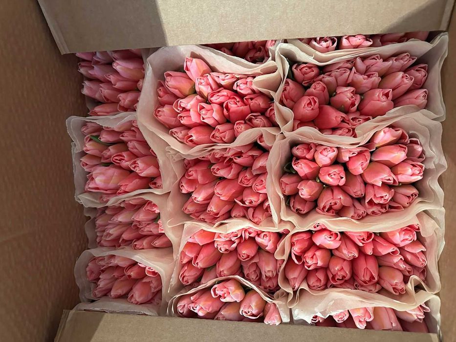 Доставка тюльпаны до двери