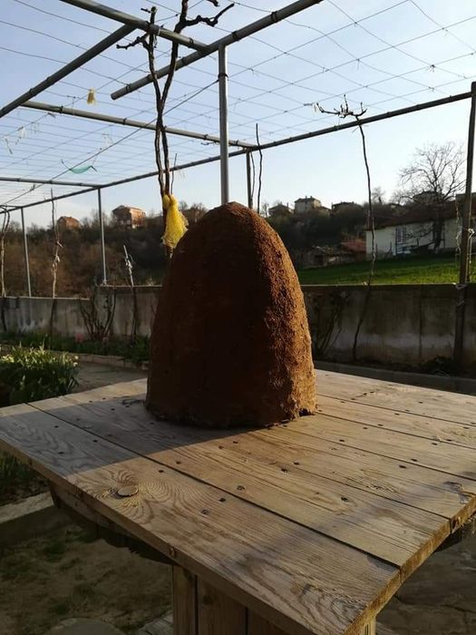 Нови пчелни тръвни