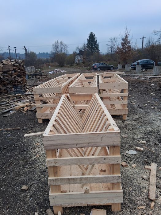 Vând iesili pentru oii