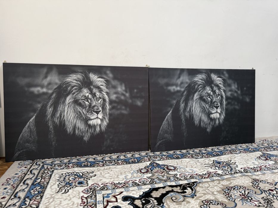 Ofic uchun mebel, stol, stul, kreslo, seyf, pul sanash aparati