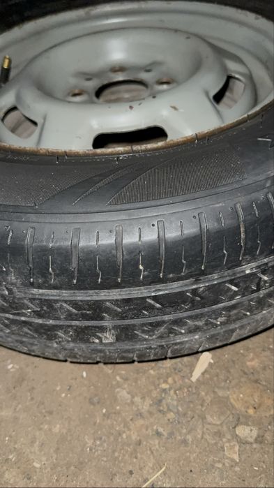 Торус 14 штамп 13