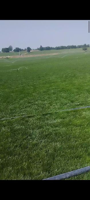 Газон Gazon ОПТОМ (F1) чемпион.ЭКИШ полив фонтан