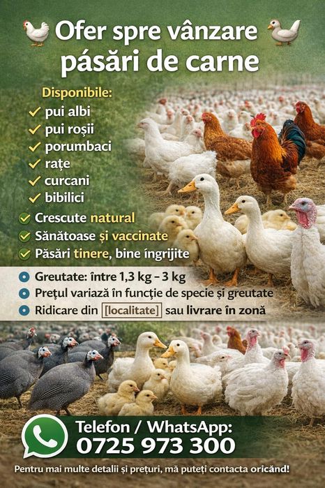 Pui albi, roșii, porumbaci, rațe, curcani și bibilici