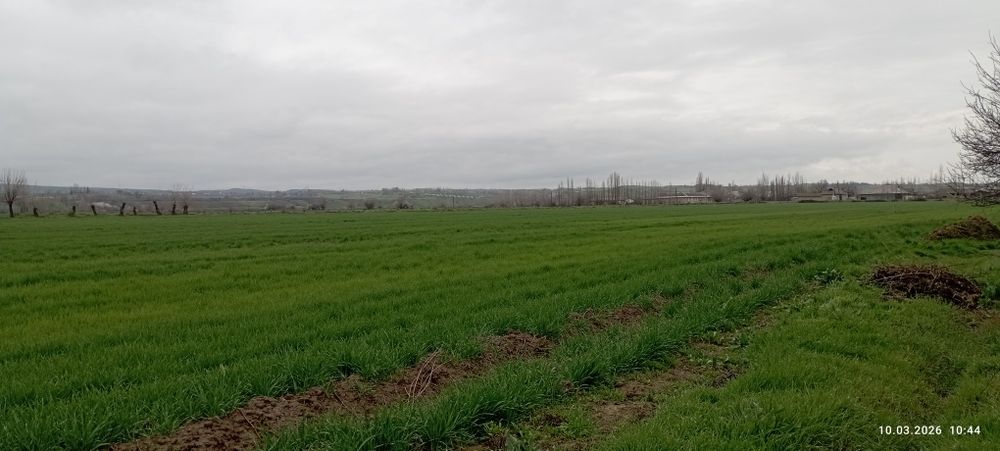 Срочно! 6 сутих 3 хонали уй участка нархида, Янги Тошкент чегарасида