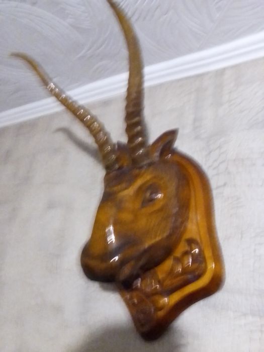 Раритетные принадлежности