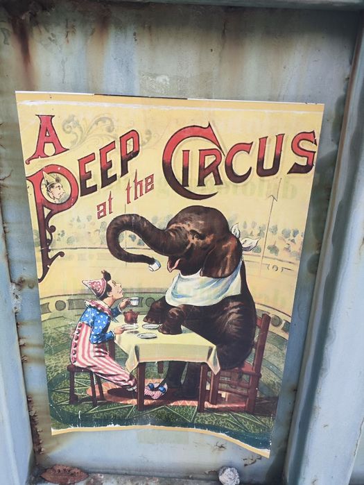 Цирк чудес в Алматы