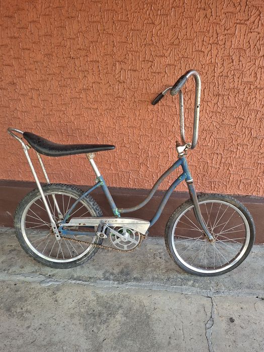 Pegas cu coarne inalte si sa lunga