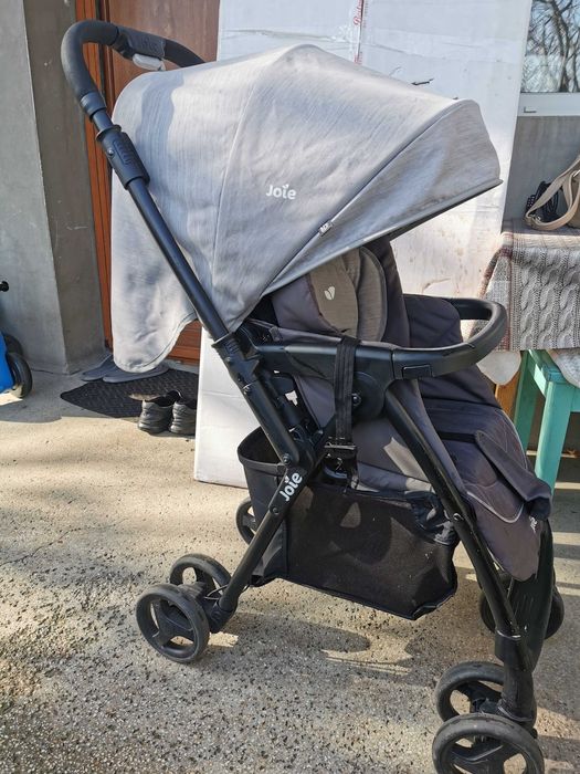 Carut joie mirus sport