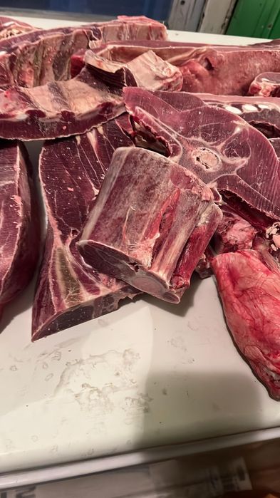 Продам говядину.