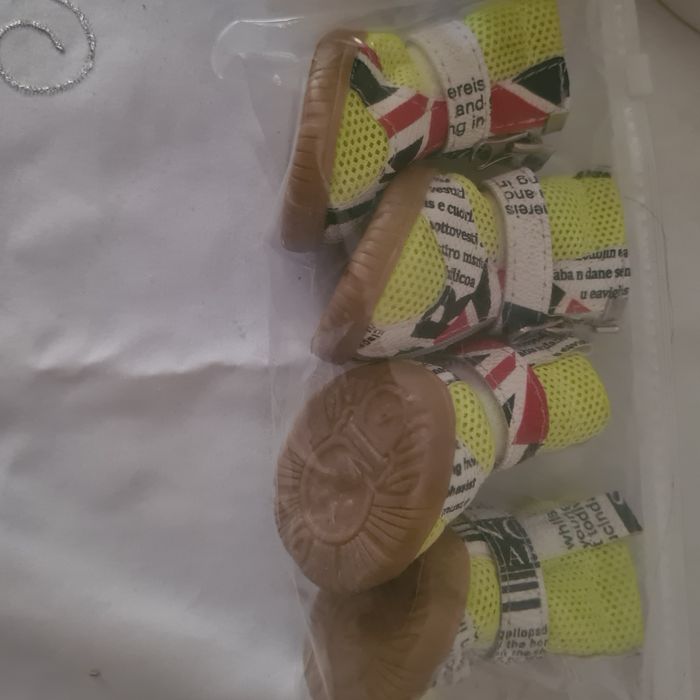 Новая обувь для собаки