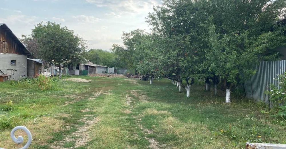 Teren Gorgota-Potigrafu