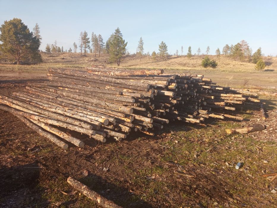 Продам жерди жерди от 5 см