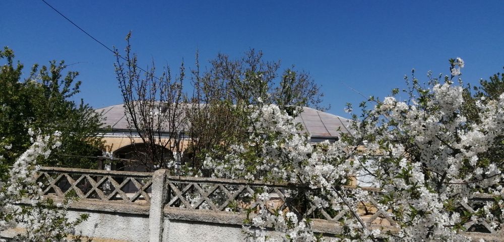 Casă  cu teren  789 metri pătrați Cismele