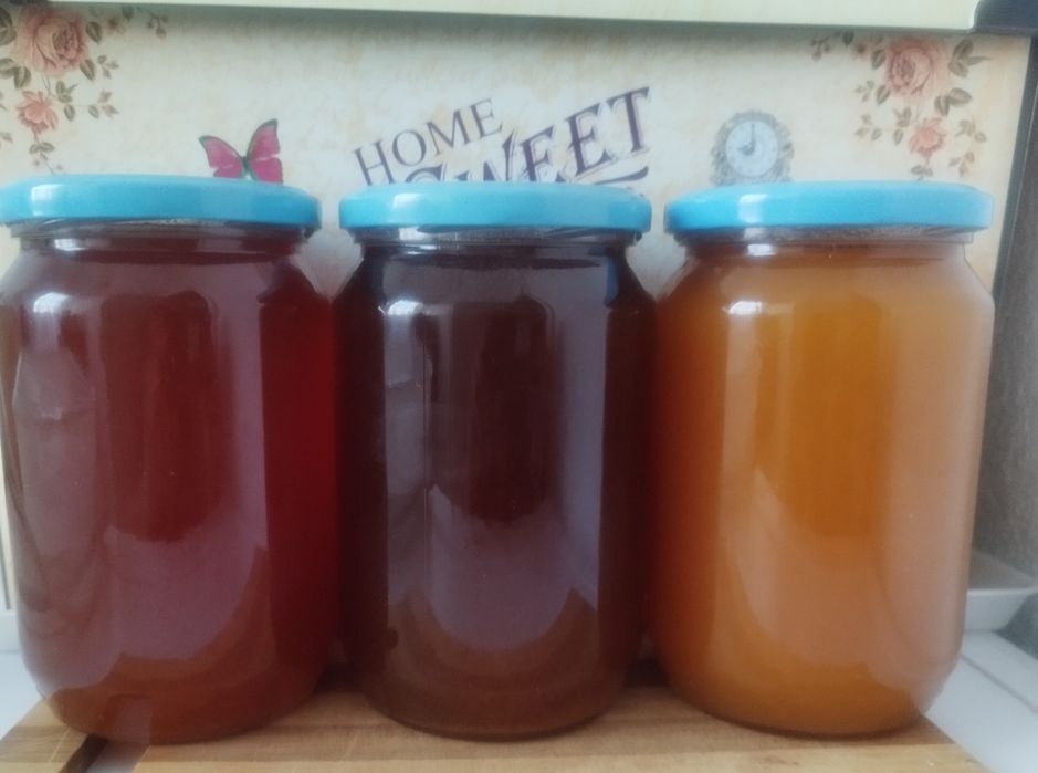 Продавам натурален полифлорен пчелен мед мана + магарешки бодил