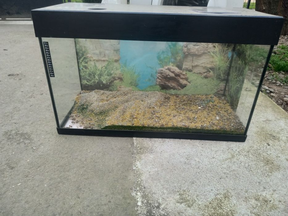 Acvarii 80-35-40 cm,80 litri