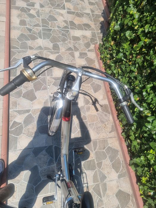 Biciclete electrice asistate