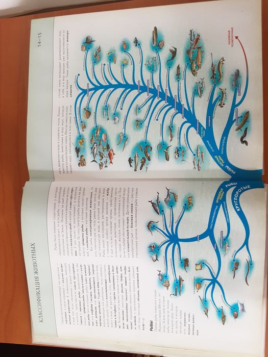 Подводный мир ( Полная энциклопедия )