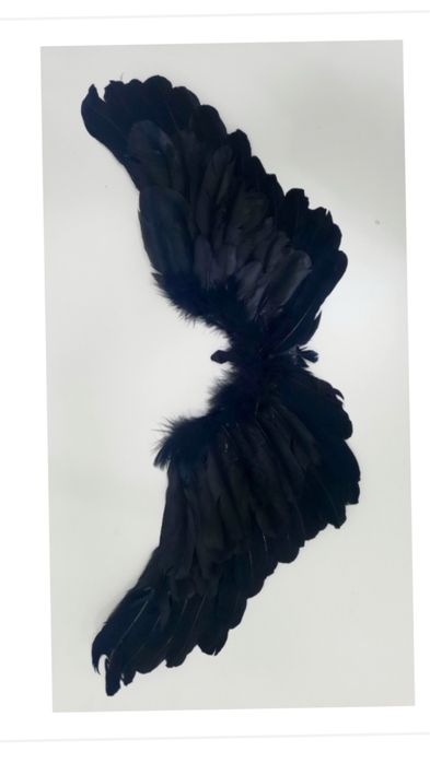 Крылья ангела/ демона на праздник