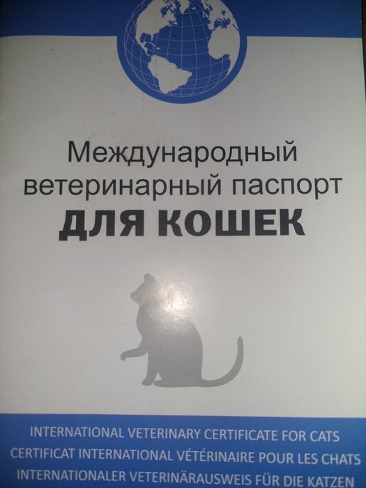 СРОЧНО!!! Продаётся Серебристая Шиншилла Ns11