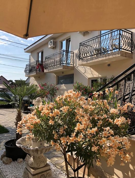 Cazare Costinesti Casa Athena 1 Mai