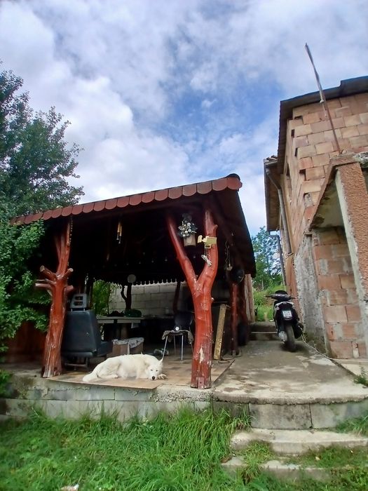 Vând casa în uriu județul Bistrița-Năsăud