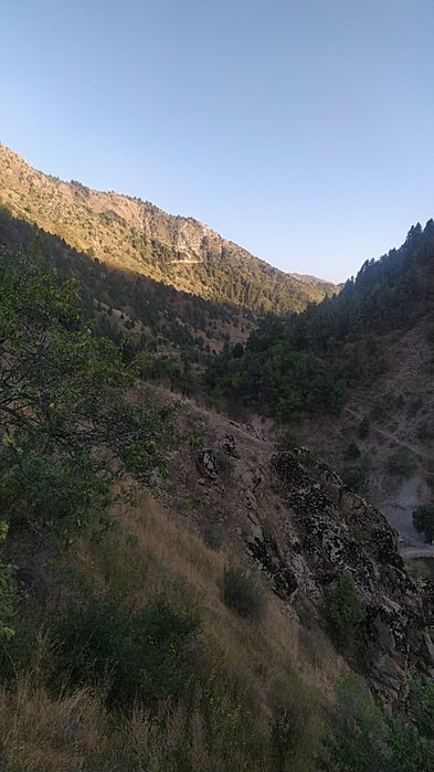 Ижарага уй оилага ва баксерларга. Янгиобод янгиабад федерация бокс