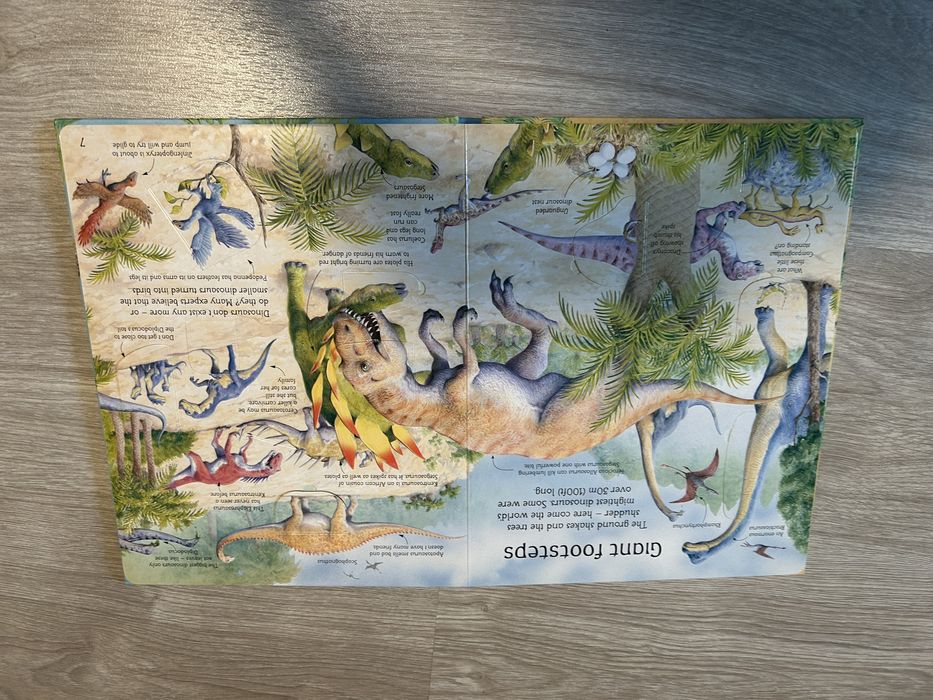 Carte Usborne Dinozauri