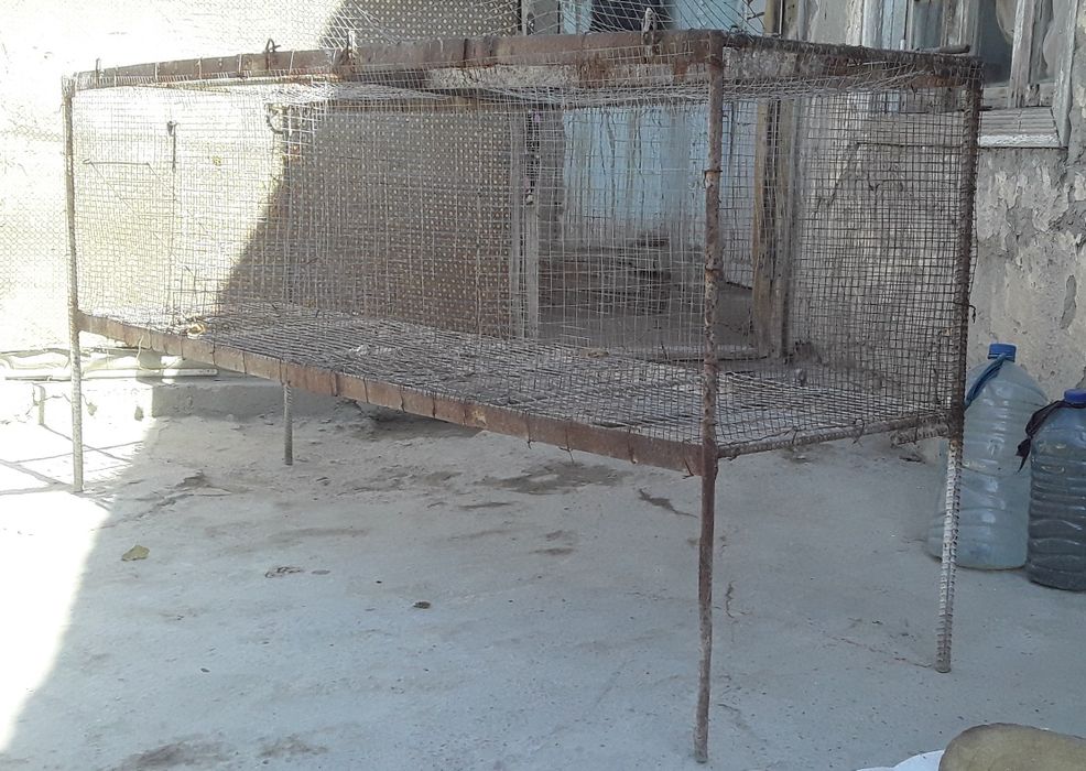 Katak uy xona tovuqlar uchun