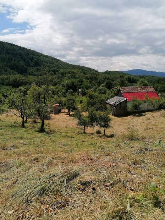 De vanzare teren intravilan 4500 mp,cu casa veche in Sovata
