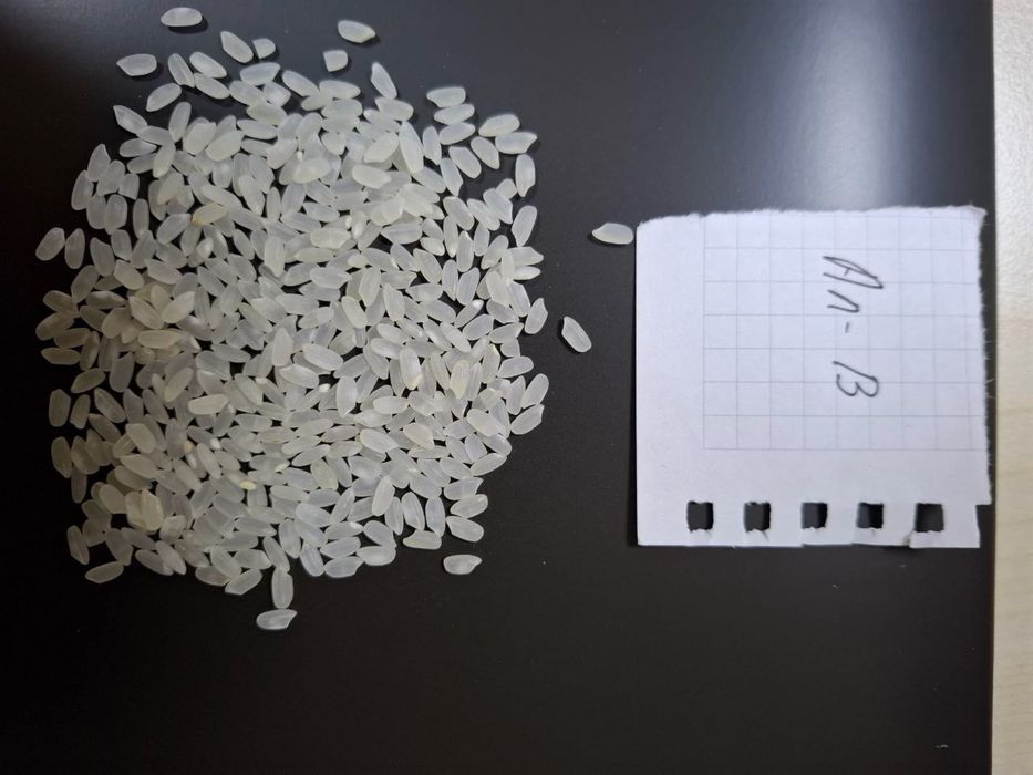 Оптом Рис с Доставкой Бесплатно