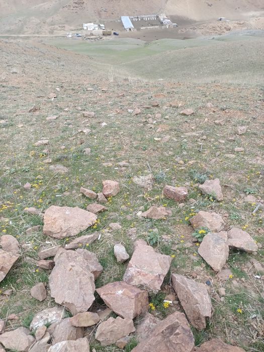 Фазенда сатылады