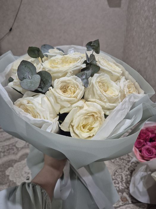 Продам цветы дешево