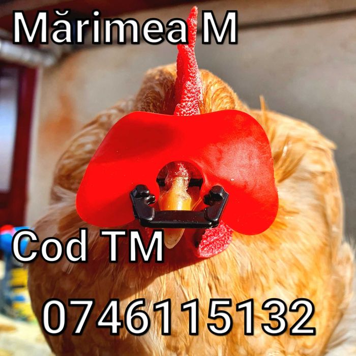 TM-Ochelari FARA STRAPUNGERE NAZALA pt Gaini Fazani Cocosi Pauni Curci