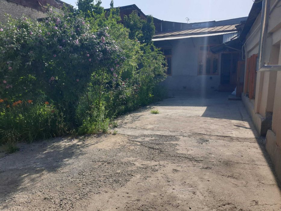 Kvartire Arenda Hovli Shoxi-Zinda bez agentstvo, studentlarga