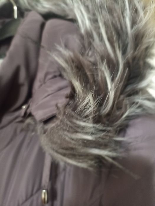 Зимно вталено яке