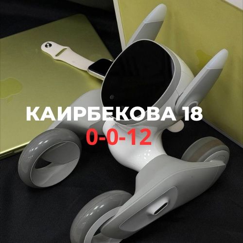 PetBot Loona | BaiTime
