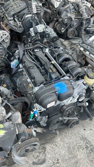 Двс Форд Фокус 1.6 ванус Бензин