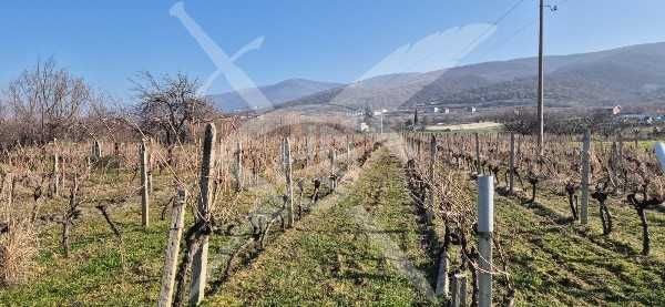 Земеделска земя в Марково! 100176