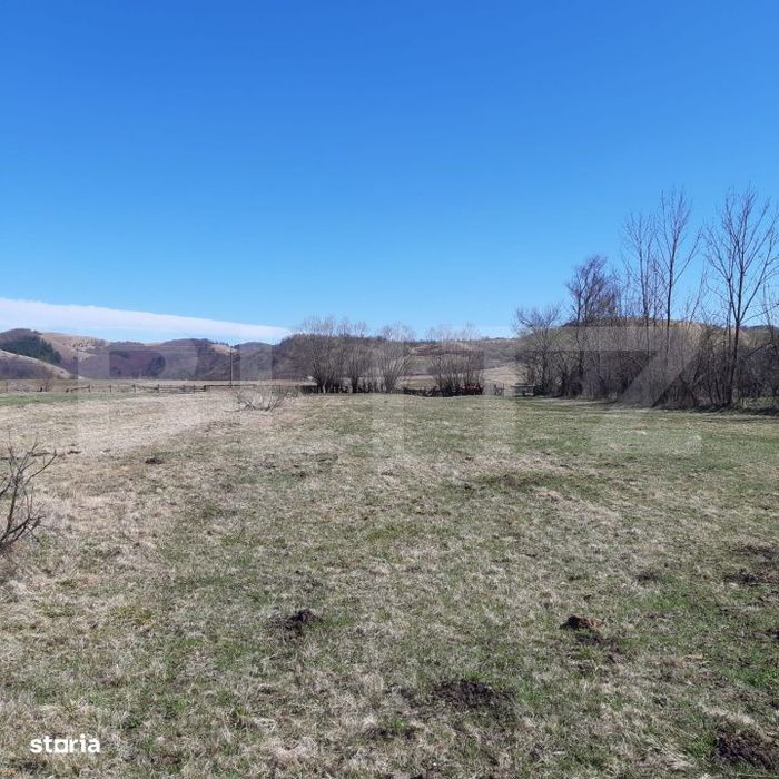 Teren extravilan 1.000 mp Valea Draganului