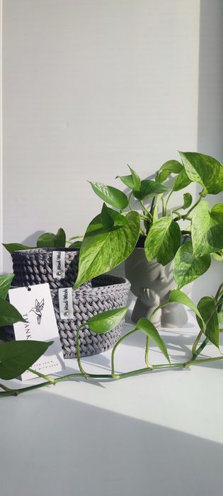 Корзинки ручной работы!