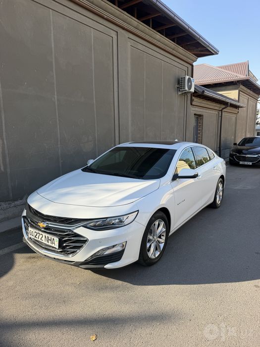 MALIBU 2 premer 2022 yill